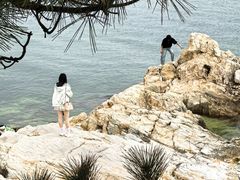 -养马岛旅游度假区