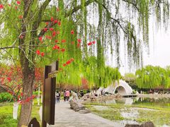 -洛阳市隋唐城遗址植物园