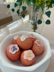 -维倪月子会所(独栋庭院·南海店)