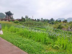 -云漫湖生态度假公园