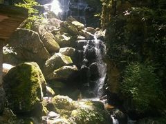 -藏龙百瀑风景区