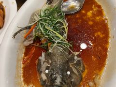 -永記粤菜·五指毛桃花雕鸡煲(九亭店)