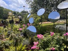 -深圳仙湖植物园