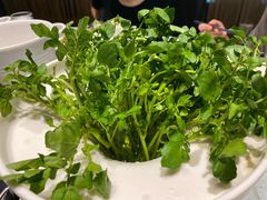 -烹然四季椰子鸡火锅(团结湖总店)