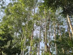 -广州长隆欢乐世界