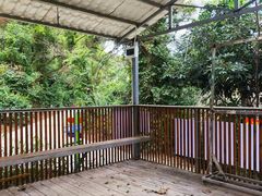 -芦仙山景区-飞越丛林探险乐园