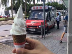 -富豪雪糕车流动点(尖沙咀店)