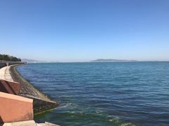 -海草馆自助餐厅(悦海店)