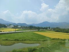 -黄牛肉馆·皖南土菜