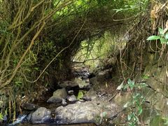 -宁波浙东大竹海景区