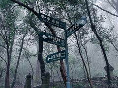 -紫金山山顶公园