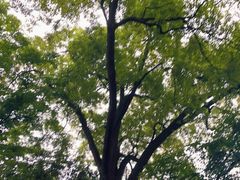 -道教老君洞