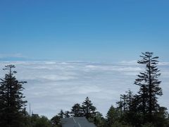 -瓦屋山景区