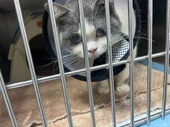 -荔康动物医院(康王北路店)