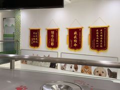 -爱侣宠医·鹦鹉专科·小型哺乳类·异宠专科(灵石路店)