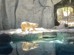 -珠海长隆海洋王国