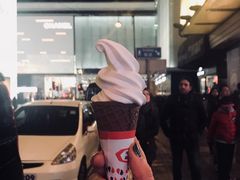 -富豪雪糕车流动点(尖沙咀)