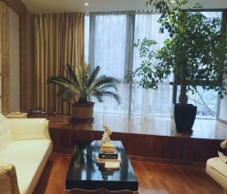 -北京英煌医疗美容