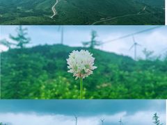 -东白山