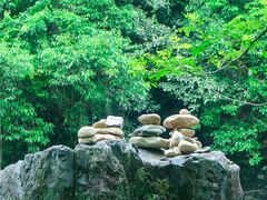 -石台牯牛降景区