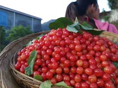 -樱桃山旅游景区