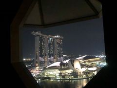 -新加坡丽思卡尔顿美年酒店