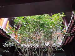 -禅驿嘉定院子-禅欢江景餐厅·中餐·户外烧烤定制(乐山大佛店)