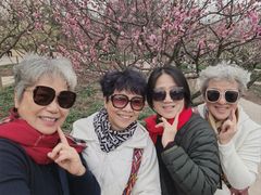 -上海植物园-4号门售票处
