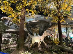 -湖南省地质博物馆