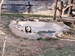 -石家庄市动物园