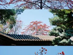 -宝墨园景区