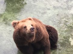 -深圳野生动物园