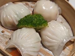 -映像威海·威海宴(威高广场店)