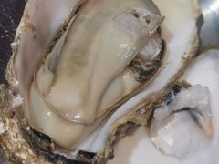 -蚝堡海鲜·威海菜·海肠捞饭·烧烤·亚洲吃蚝公司(幸福门店)