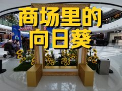 -万达广场(龙湖店)
