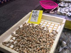 -珠光市场(文德南路)