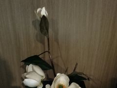 -蓉府金足印象(草市街店)