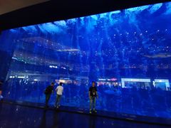 -成都浩海立方海洋公园