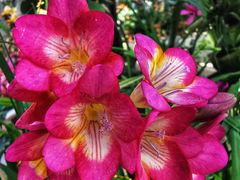 -国家植物园南园