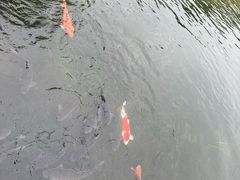 -杭州花家山庄