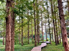 -国家植物园南园