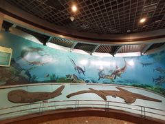 -自贡恐龙博物馆