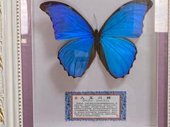 -野象谷景区