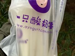 原味酸奶紫米露-一只酸奶牛(八一路店)