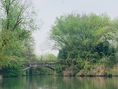 -西溪国家湿地公园