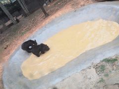 -泉州海丝野生动物世界