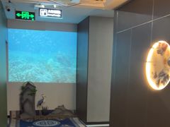 -尊足养生·影院足道·主题spa·采耳(浦江店)