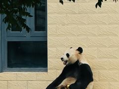 -石家庄市动物园