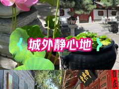 -兴教寺