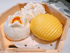 -蘩楼(南山南油店)